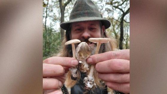 UK Mushroom Sightings Expected to Reach Record Levels This Autumn